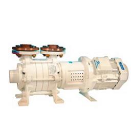 GIANNESCHI 多自吸式马达泵 ACM CC/DC 50HZ 60HZ