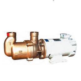 GIANNESCHI  自吸式容积螺杆泵 MVG