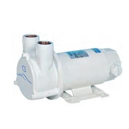 GIANNESCHI  自吸式电动泵 CP CC/DC 50HZ 60HZ